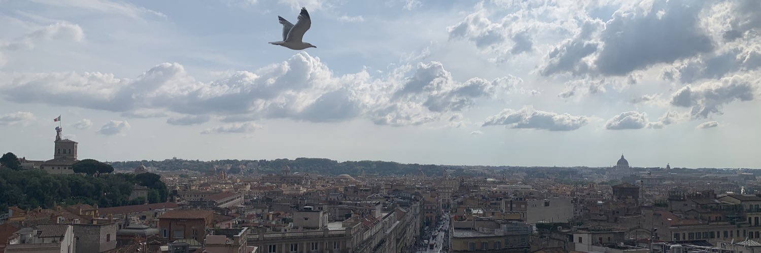 Alessandro Procaccini banner