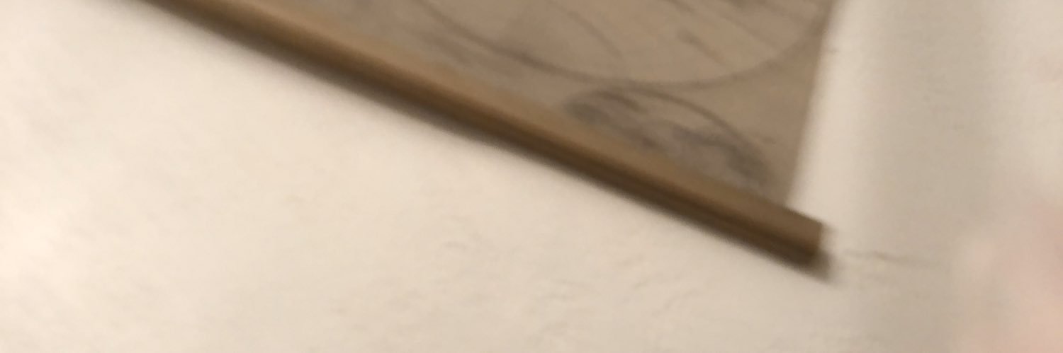rorogirl0603's profile banner image
