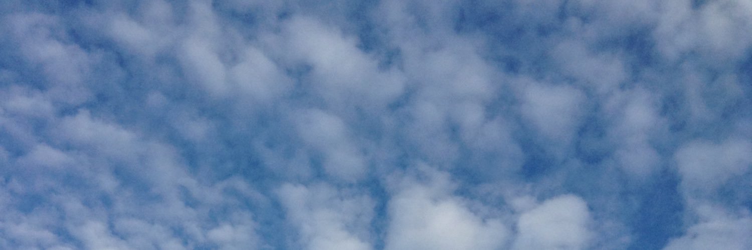 ghostchips's profile banner image