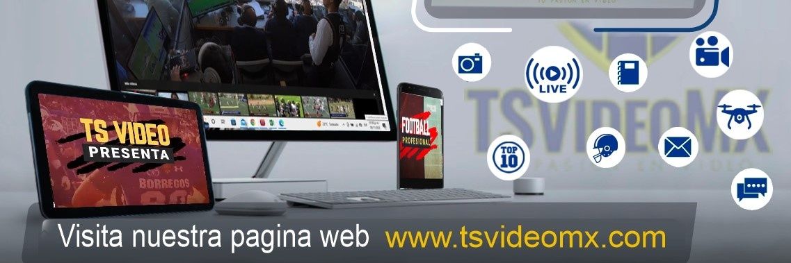 TSVideo banner