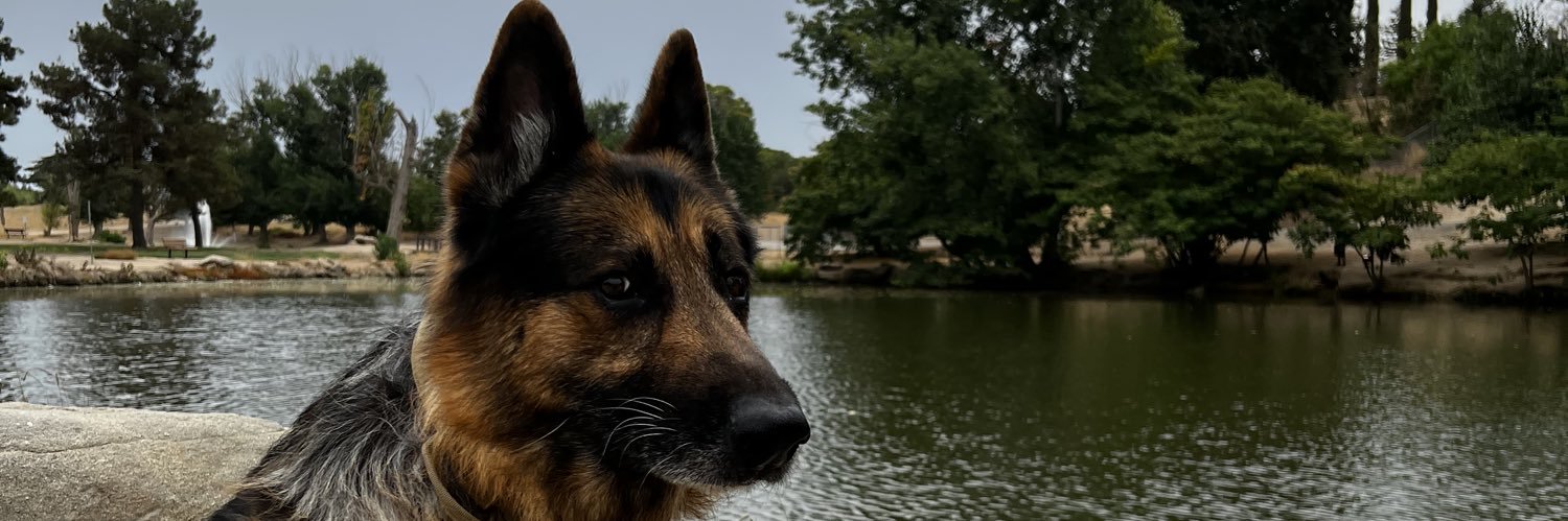 _Moryy's profile banner image