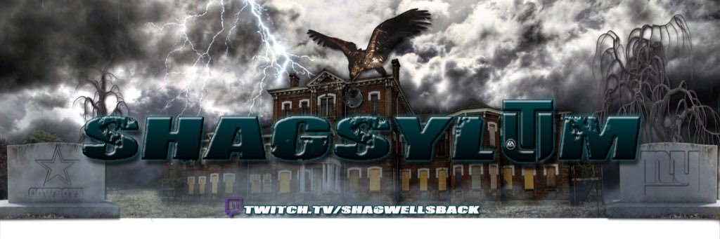 Shagwellsback💎 banner