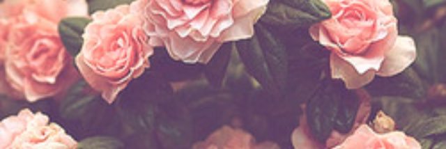 eah_sr's profile banner image