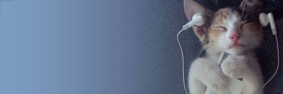 pridelimaa's profile banner image
