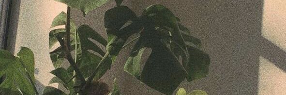 celeniayatzari's profile banner image
