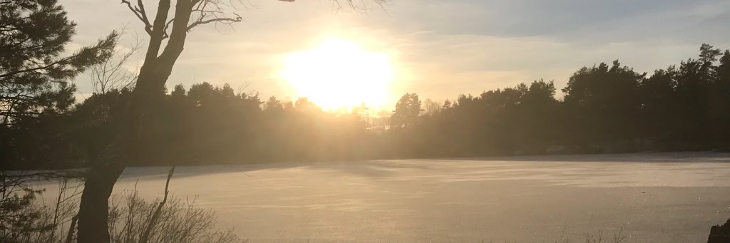 christofferlin3's profile banner image