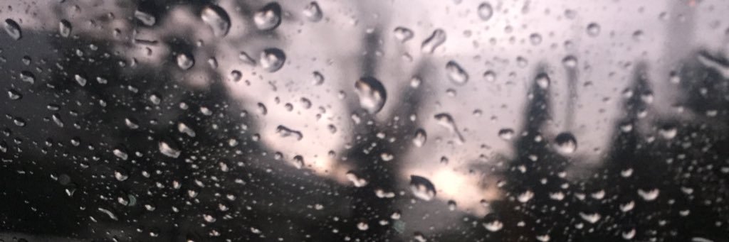 zinnatsima's profile banner image