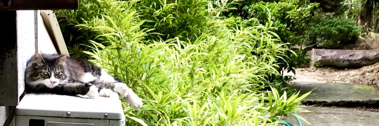 さかもと banner