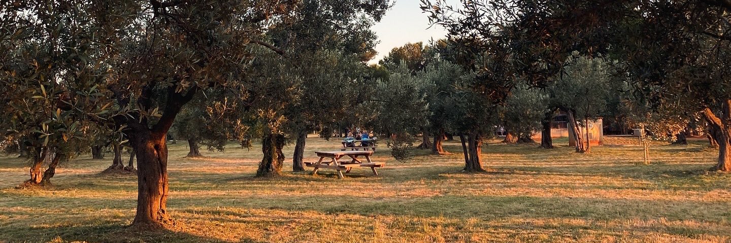 Giuppylicious banner