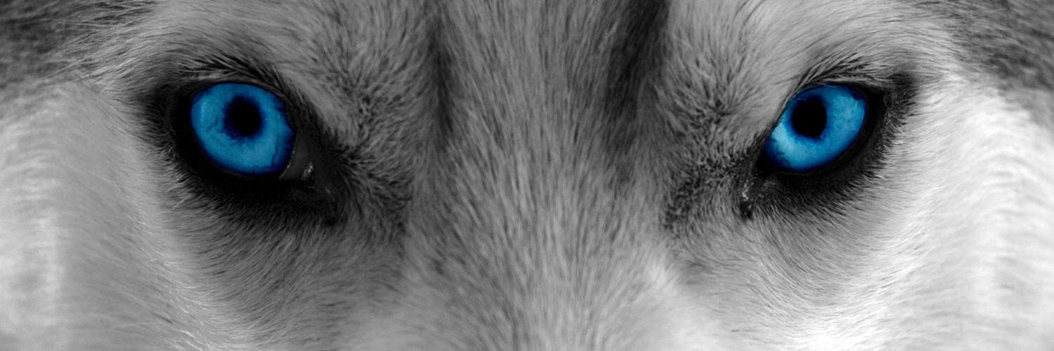 ErayMitrani's profile banner image