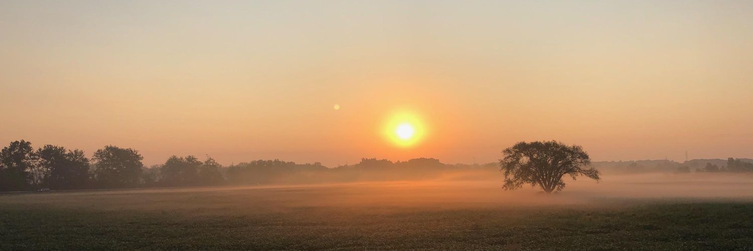 Lonely Tree - 🇺🇦🇺🇦 Stand with Ukraine 🇺🇦🇺🇦 banner