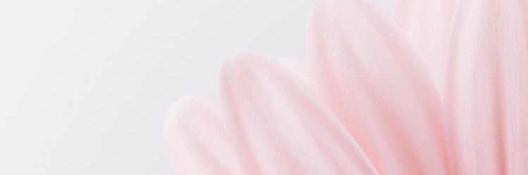 caglaergunn1's profile banner image