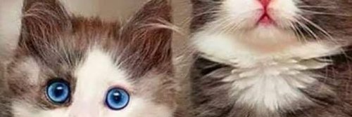 Just_Me_lah's profile banner image
