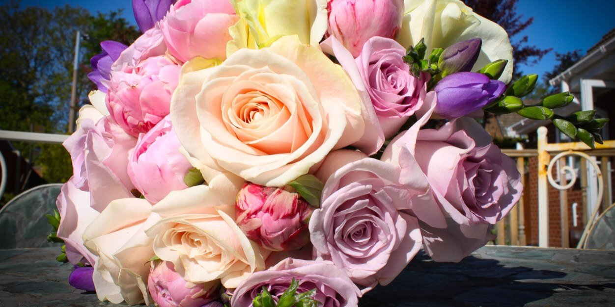 jo_collinson's profile banner image