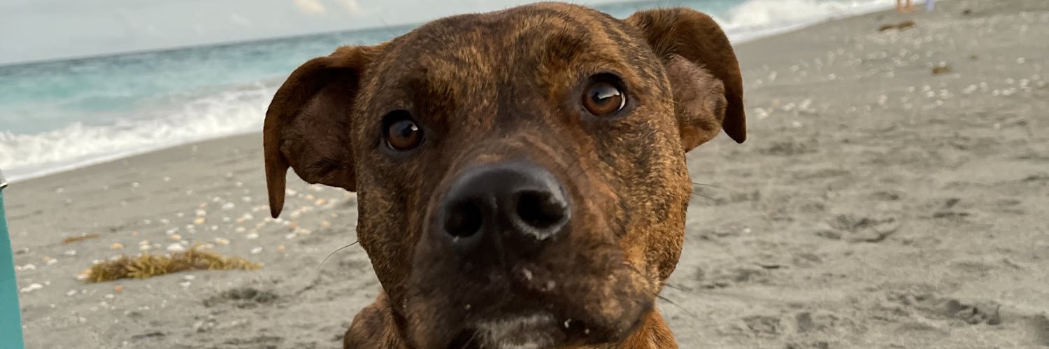 Jesse banner