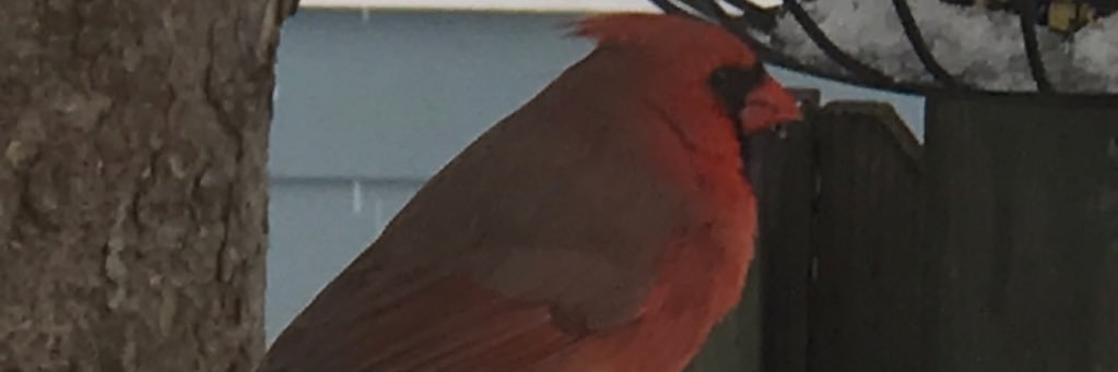GeorgiaKubesh's profile banner image