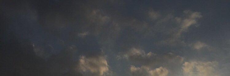 madyokii's profile banner image
