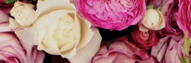 alorapm's profile banner image