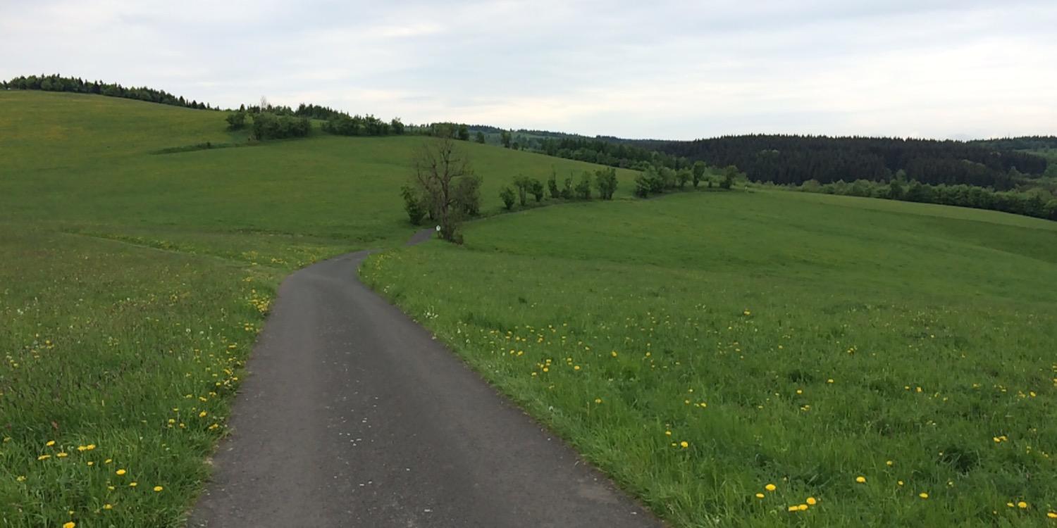 Alfons Balmann 🇺🇦 @alfonsbalmann.bsky.social banner