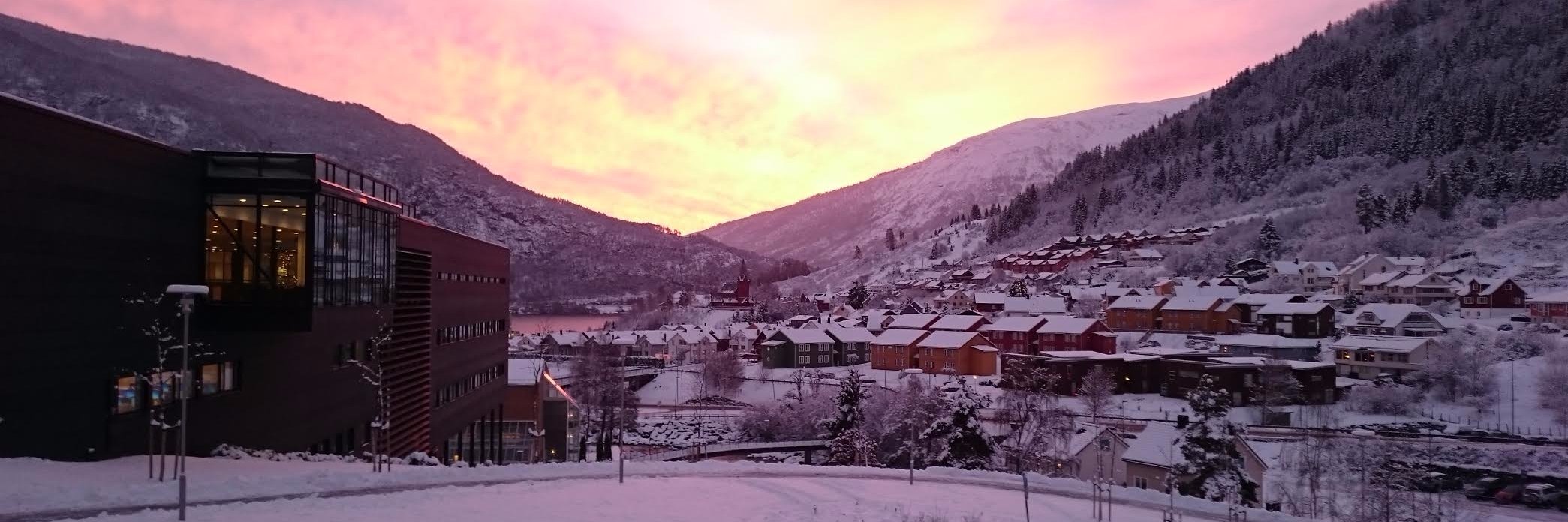 Øyvind Heimset Larsen banner