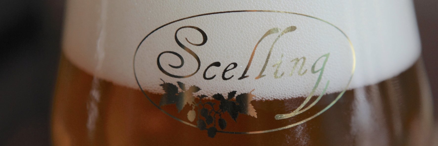 Scelling's profile banner image