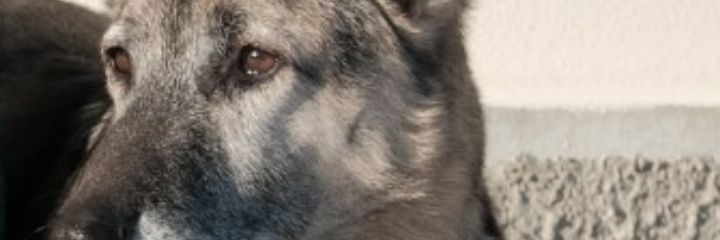 pat2astro's profile banner image