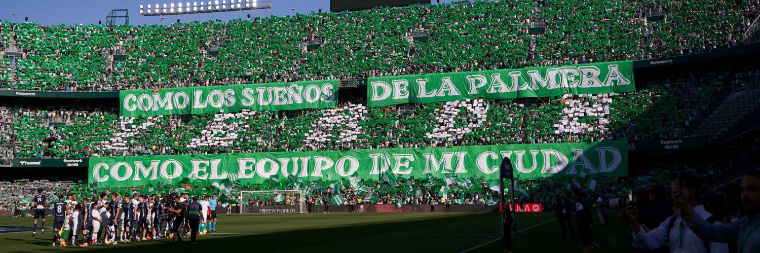 Alejandra Campos banner