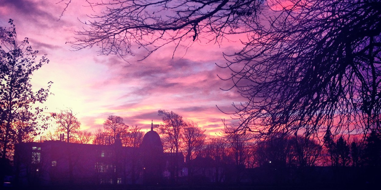 alisonduffy_'s profile banner image