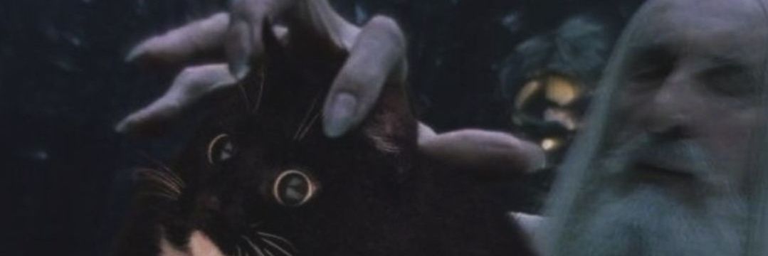 EBashkoz's profile banner image