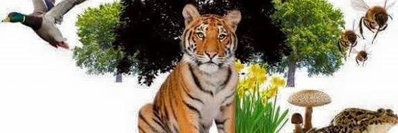 RAKESH CHAVAN banner