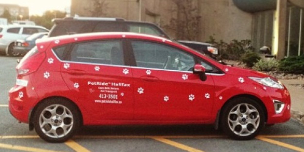 PetRideHalifax's profile banner image