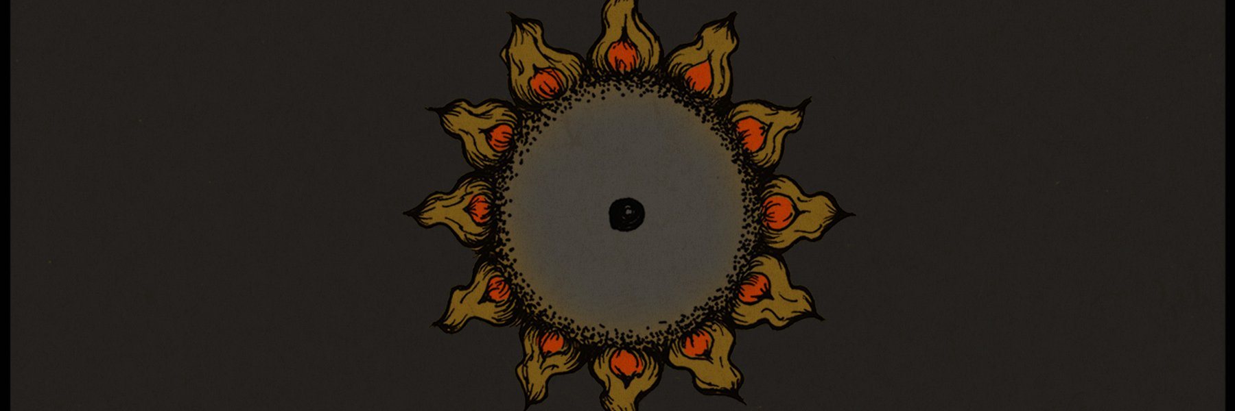Black0Antlers's profile banner image