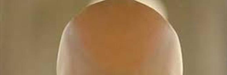 asdfqwer1391's profile banner image