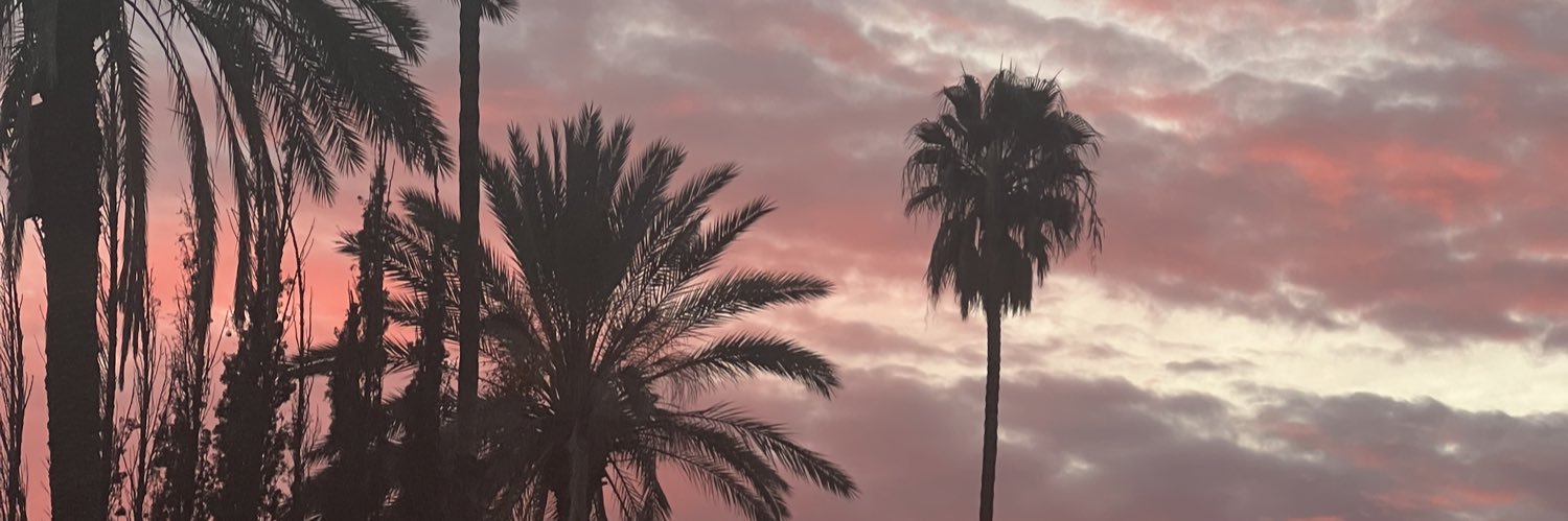 itscierawilson's profile banner image