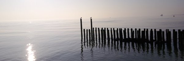 nvpar Profile Banner