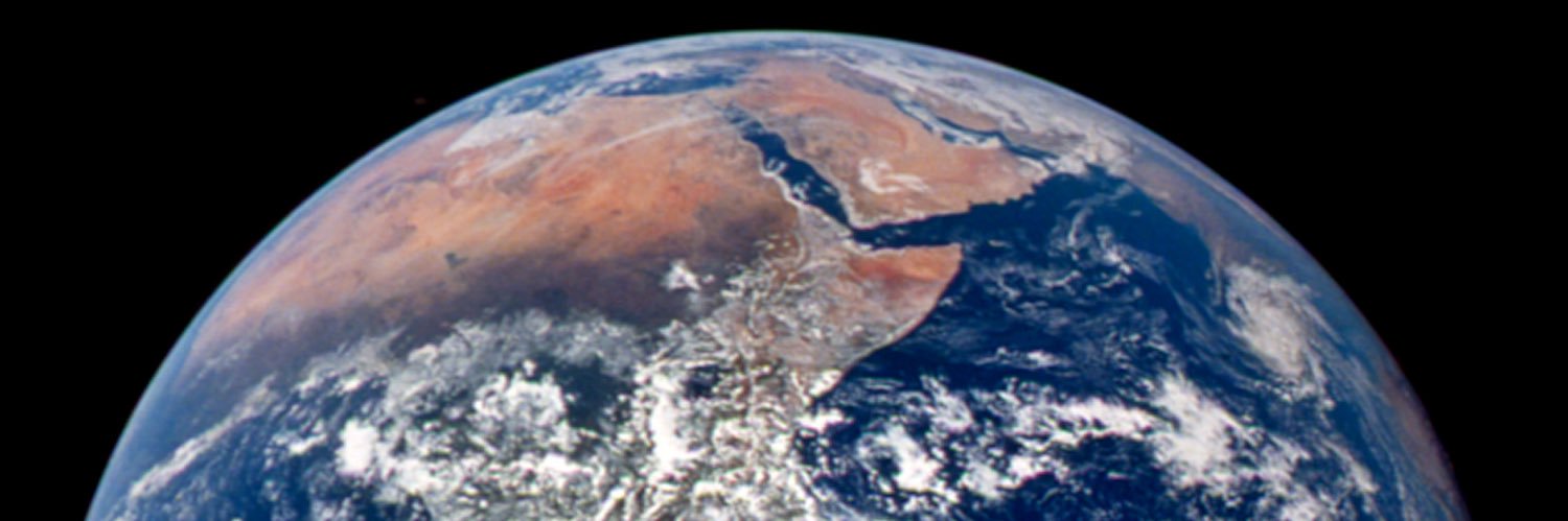 nvp🥬🌏🇧🇪 banner