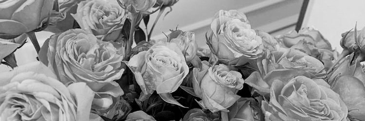 india__c's profile banner image