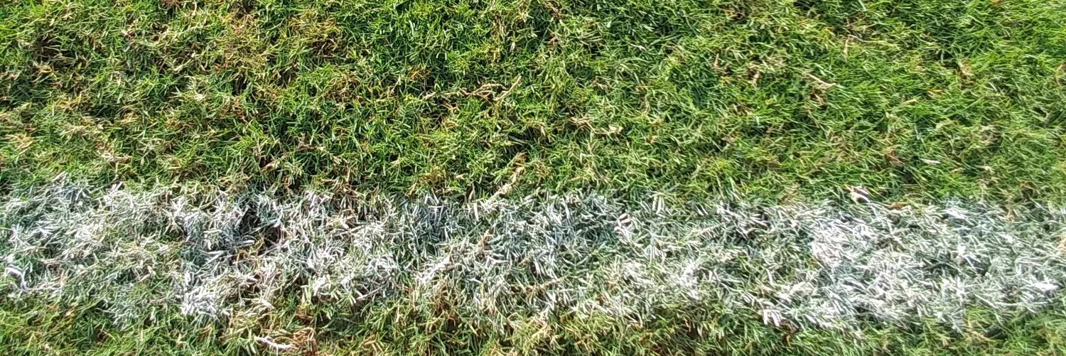 adioos's profile banner image