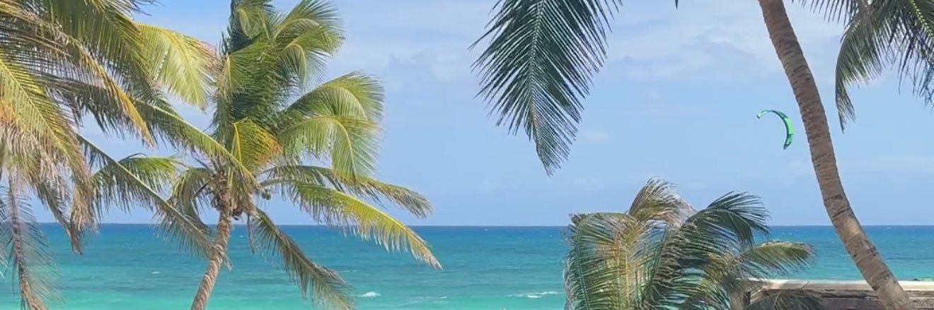 Beatrice Peterson (@MissBeaE on all platforms) banner