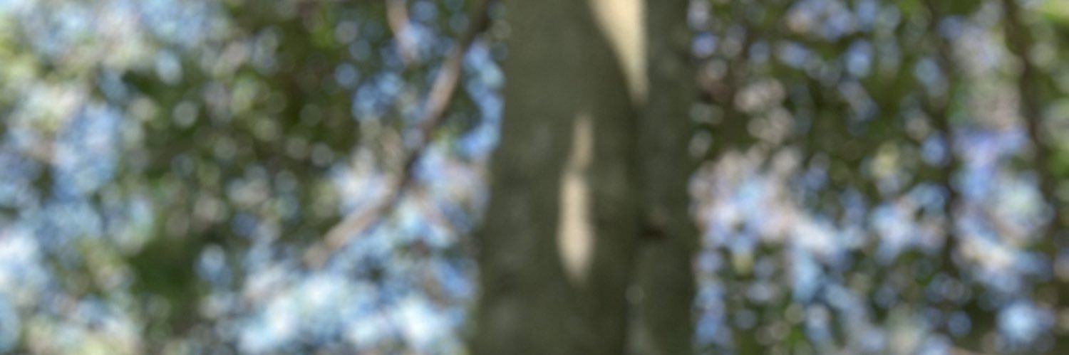 600pics's profile banner image