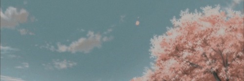 TheeJayAli's profile banner image
