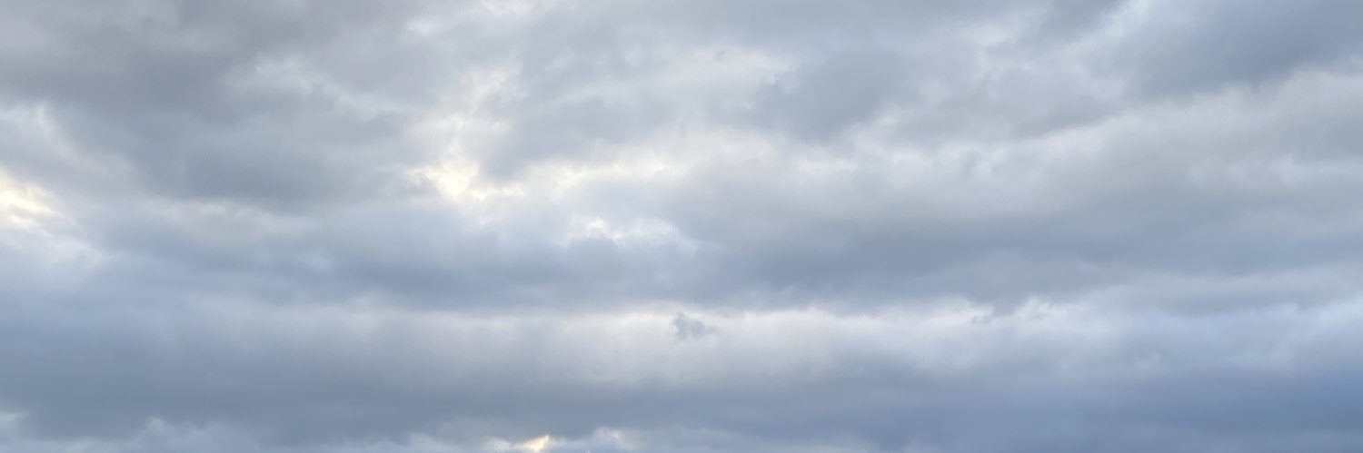Sharon Noe banner