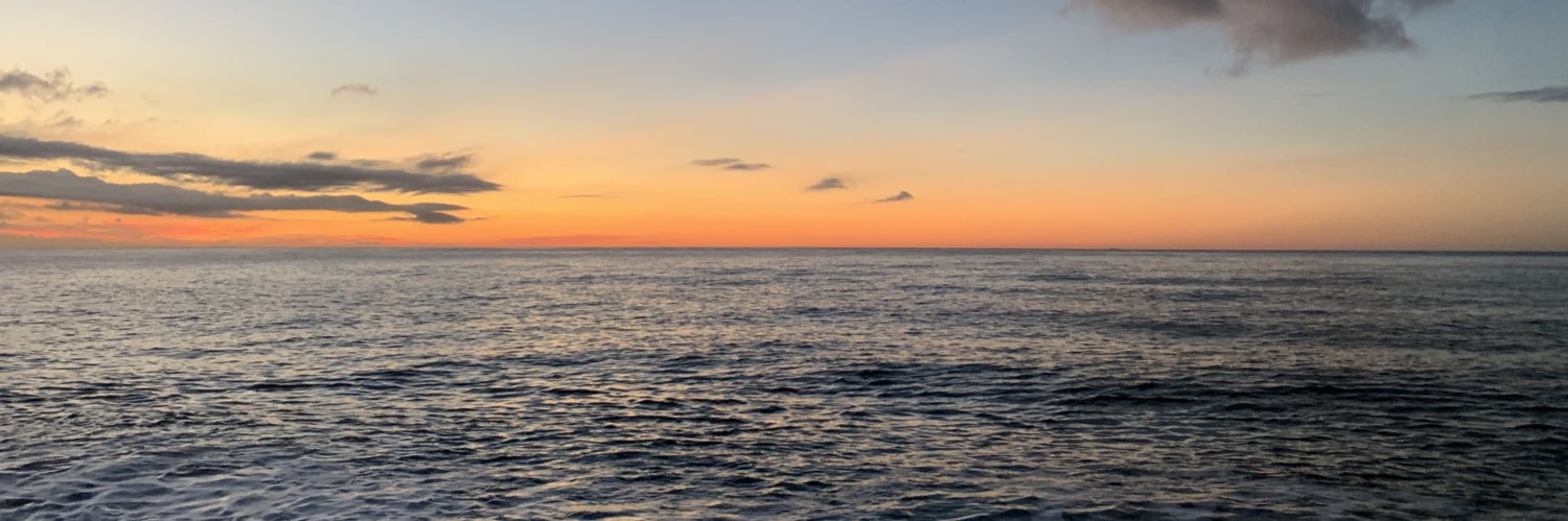estelcalvo's profile banner image