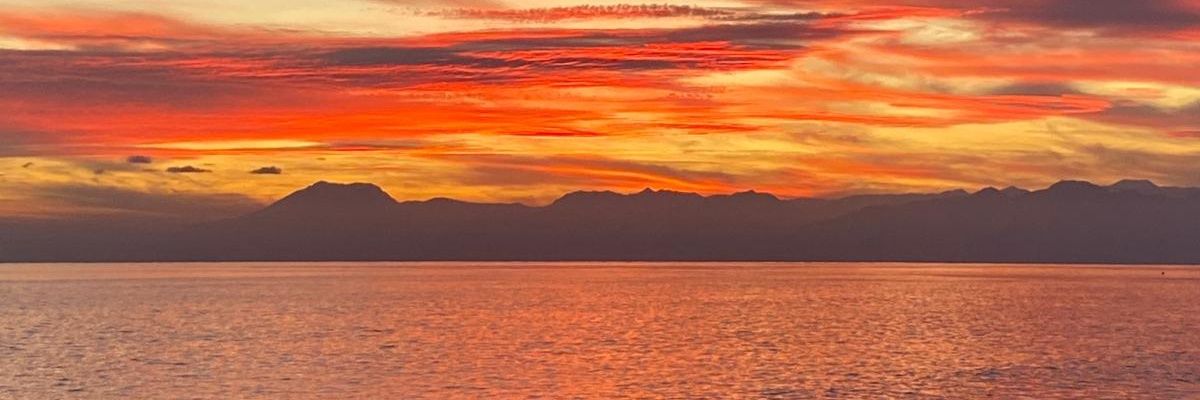 _lleyla's profile banner image