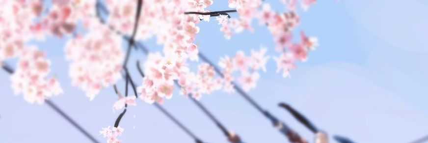 rabbitlude's profile banner image