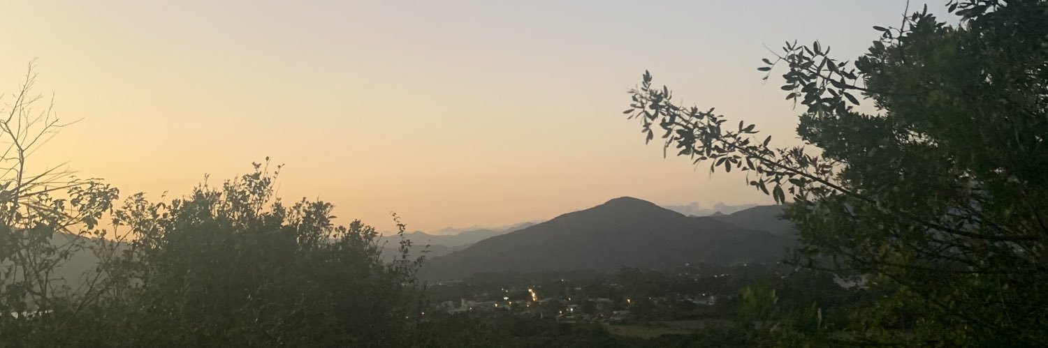 menezeees1's profile banner image