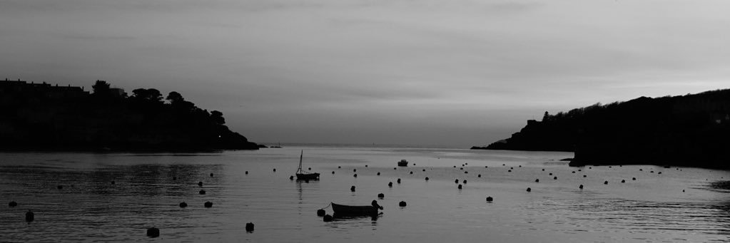 Fowey Shellfish Co banner