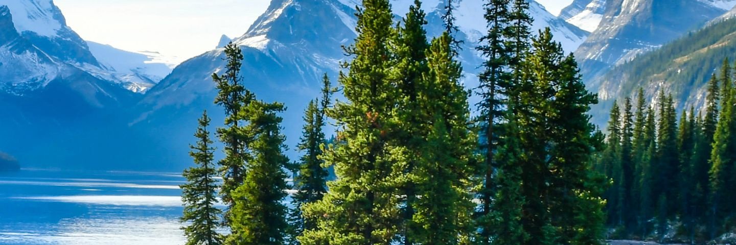 bokrahl's profile banner image