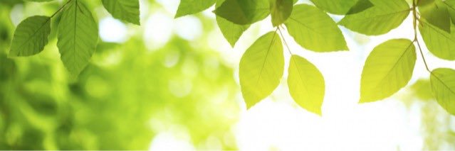 Elito_ny's profile banner image