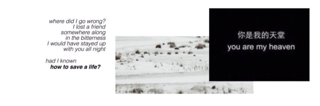 rospshsgdr's profile banner image